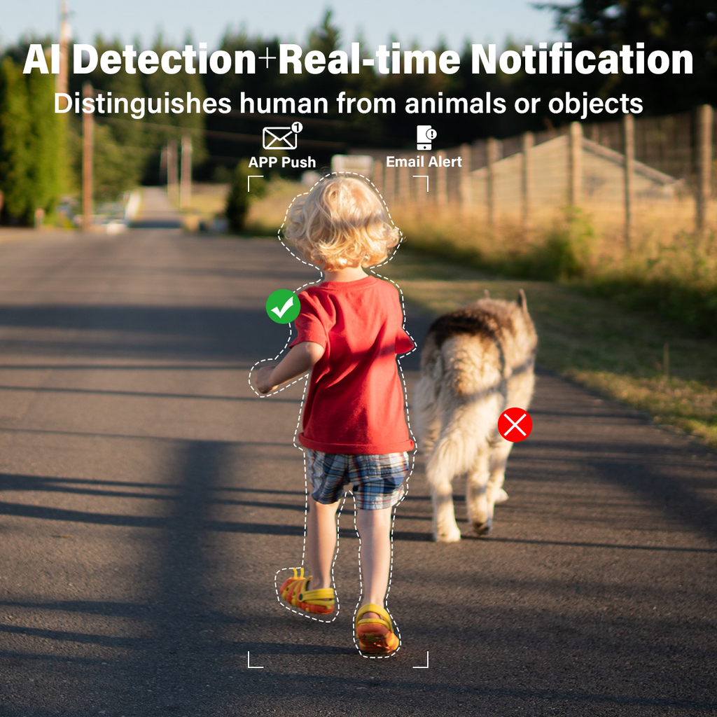 Methods of Detection for WEILAILIFE Surveillance Cameras
