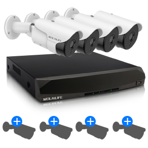 Decoding the Right Fit: Navigating HD Surveillance Encoding Formats