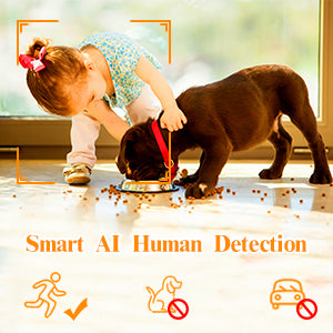 How to Choose the Display Screen for WEILAILIFE Surveillance Cameras