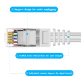 100 Feet Ethernet Cable POE Cameras Systems Video Security Network Cable Security Surveillance POE Camera System