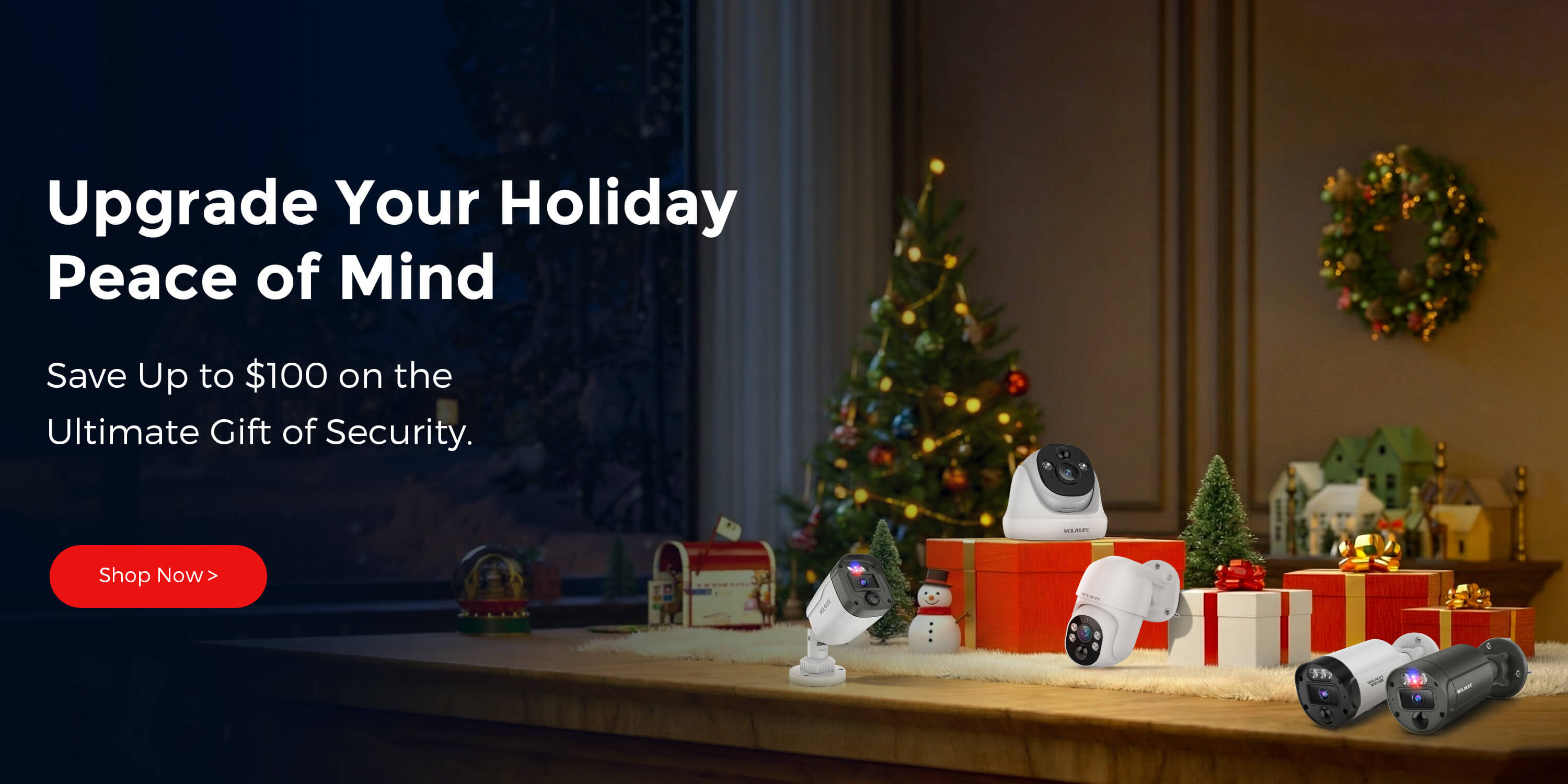 WEILAILIFE Security Tech Life